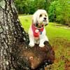 sherrydavis226